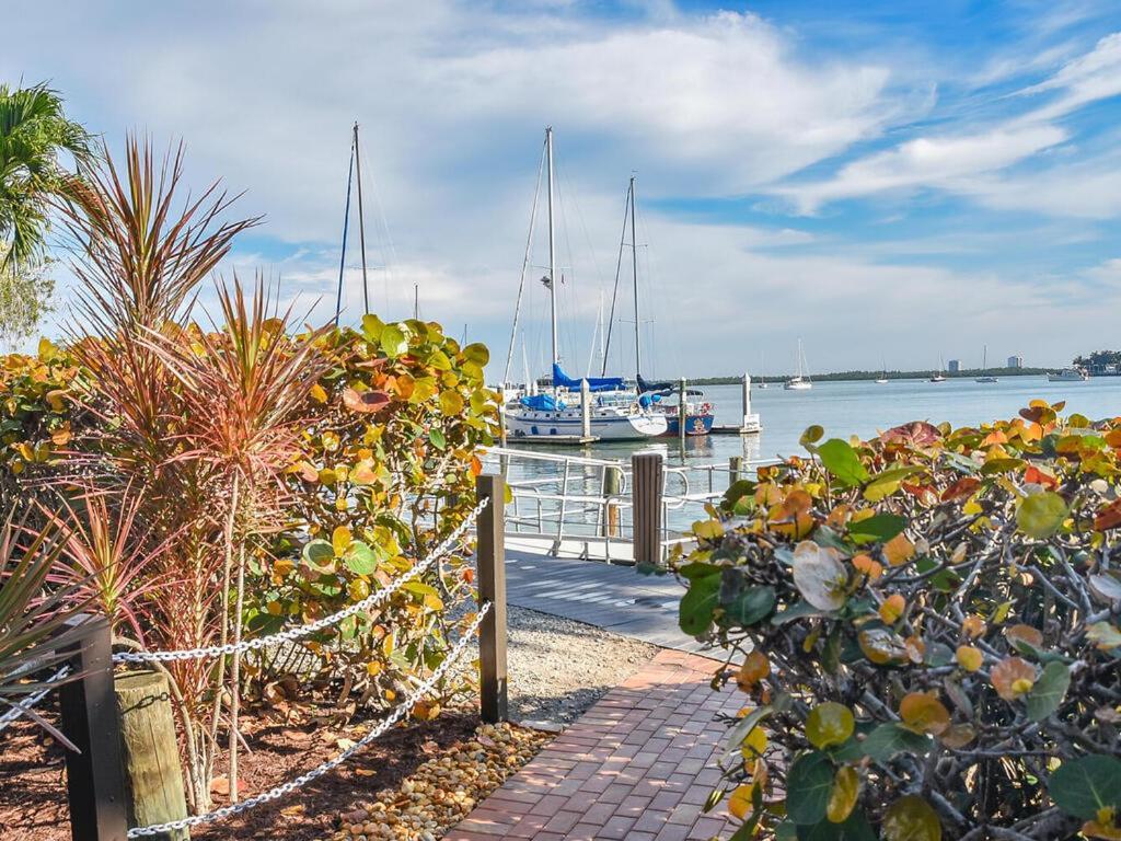 Knot A Care Remodeled Direct Water Access Condo With Ocean And Pool Views Now Sleeps Six マルコ・アイランド エクステリア 写真
